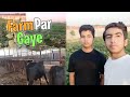 Farm Par Gaye 🚜 Aur New Mic🎙️|Bacchare🐂|Farming🧑🌾|Mian Abdul Mateen