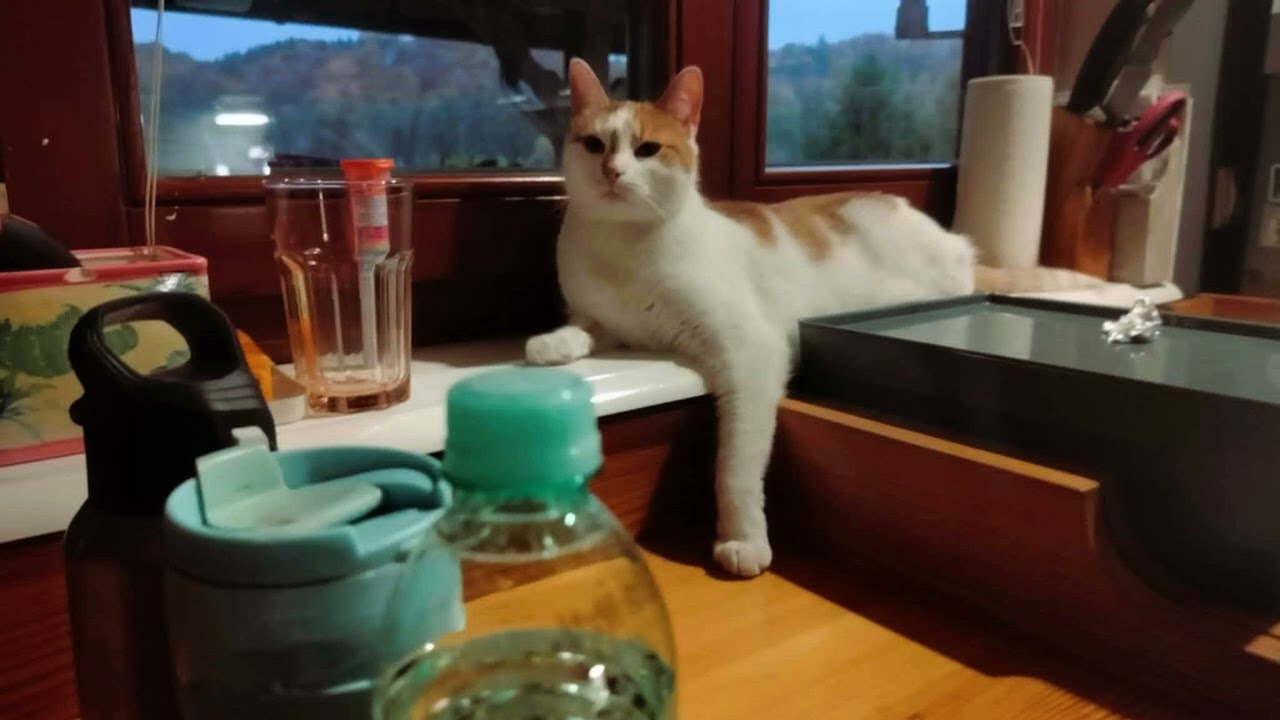 The Rotting Veins - Hear Me (prod. redMOSK)