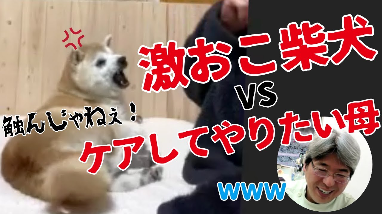 【神回】目指せ脱アポキル！ベタベタ肌アトピーは『クレンジング』と『ニコわん』で良くなる！