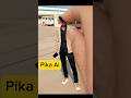 How to use Pika ai art | pika ai se video banaye #pika #ai #pikaart