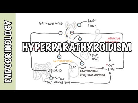 Hyperparathyroidism ਅਤੇ ਵੱਖ-ਵੱਖ ਕਿਸਮਾਂ, ਕਾਰਨ, ਪੈਥੋਫਿਜ਼ੀਓਲੋਜੀ, ਇਲਾਜ