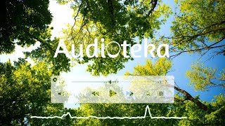 🍃A Quiet Thought 🤯by Wayne Jones [ Free Copyright music] | Vlog Track |  AUDIOTEKA