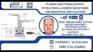 EGYPlasmaTalks | Plasma Functionalization of Multiwall Carbon Nanotubes | Essam Abdel-Fattah