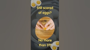 10 Eggs a Day Science Approves!