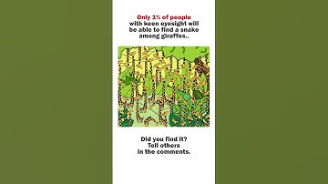 🐍 Can You Find the SNAKE? 🦒 (Impossible Level) #Shorts
