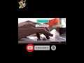 مواقع الربح