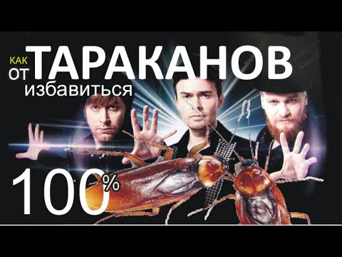 тараканов травить  100 БЕЗОПАСНО  для людей Сталинский способ  избавления