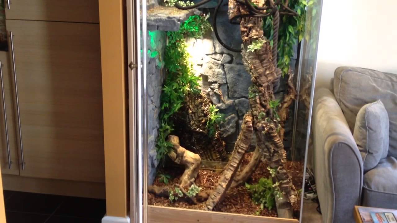 iguana vivarium