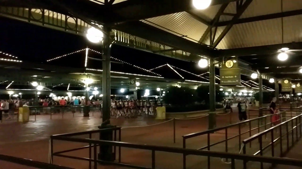 free bus from disney springs to magic kingdom