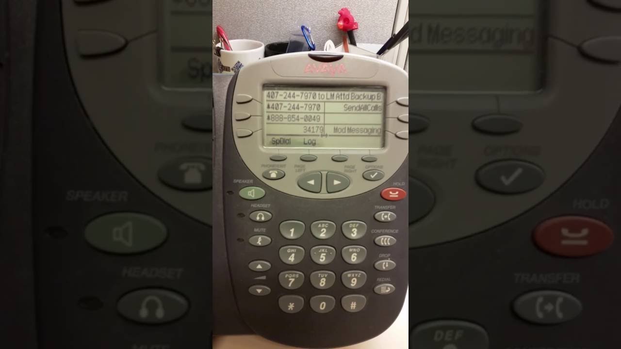 SEDGWICK CMS LAKE MARY YouTube