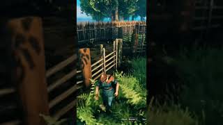 Made a garden #subscribe #gaming #games #pcgaming #valheim #shorts