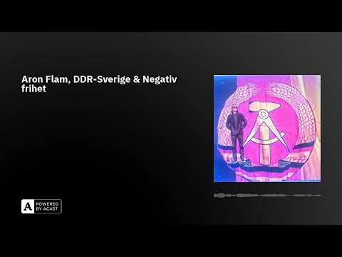Aron Flam, DDR-Sverige & Negativ frihet