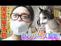 【保護猫活動】サンシャイン池崎!新シリーズが遂に始動!【のりしお】