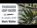 Painting Pandanus - Leaf Hacks - In Studio with Mark Waller