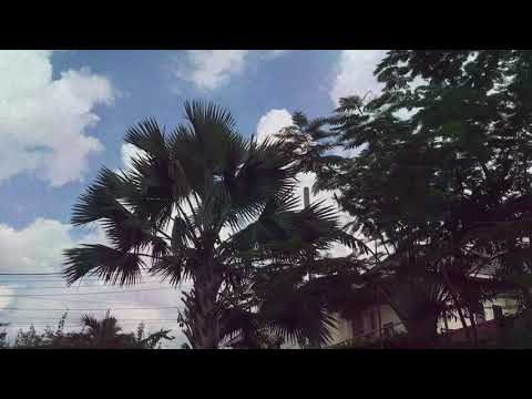 simplicity of life on film effect