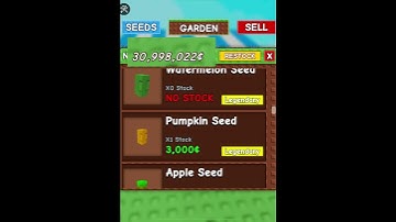 New Giant pinecone seed Grow a Garden!