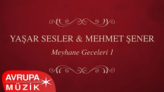 Yaşar Sesler & Mehmet Şener - Bursa Gaydası (Official Audio)