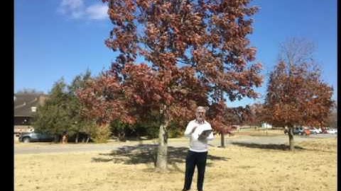 Using Esri Collector