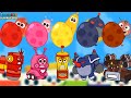 Bingo song baby song surprise egg with ranger stamp transformation play  nursery rhymes  kids song