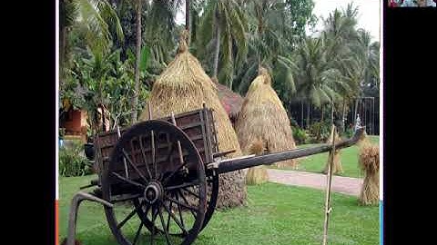 TLV 5: Cấu tạo của bài văn tả cảnh - Hồng Hảo Nghĩa