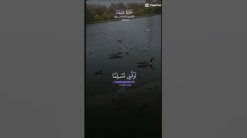 تلاوة للشيخ خالد الجليل ماتيسر من سورة يوسف