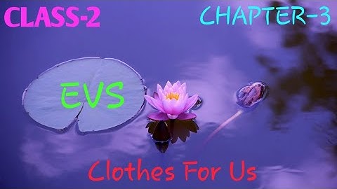 2nd EVS Chapter 3 clothes for us