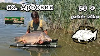 яз. Арбовия, едно парче от рая | CARP FISHING | Как си направихме протеинови топчета на място