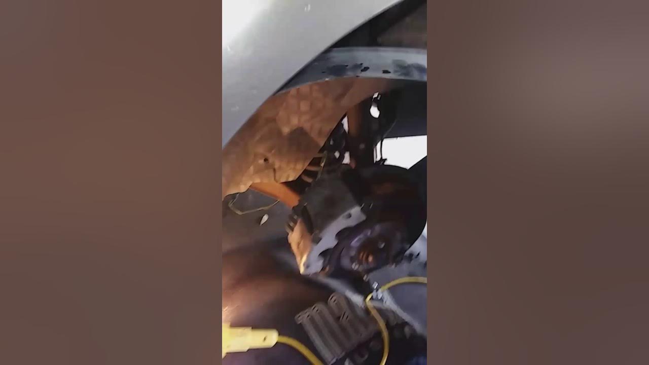 EVAP codes are 442457. Mustang 2002 GT YouTube