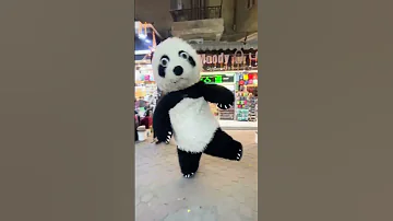 اغنية خد يمين خد شمال واحد جي في ضهرك شوطه بوش رجلك مهرجانات اكسبلور 