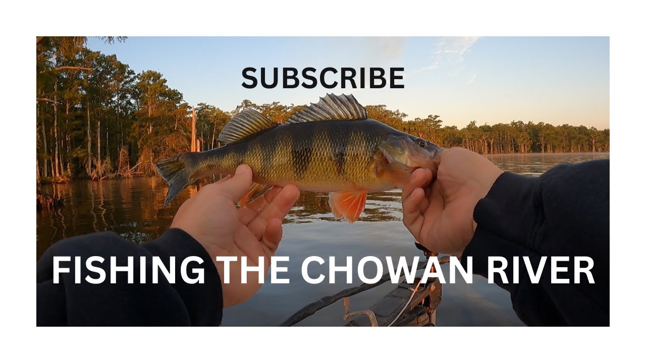 Fishing the Chowan River YouTube