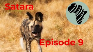 Fantastic Drive from Balule to Satara, Episode 9