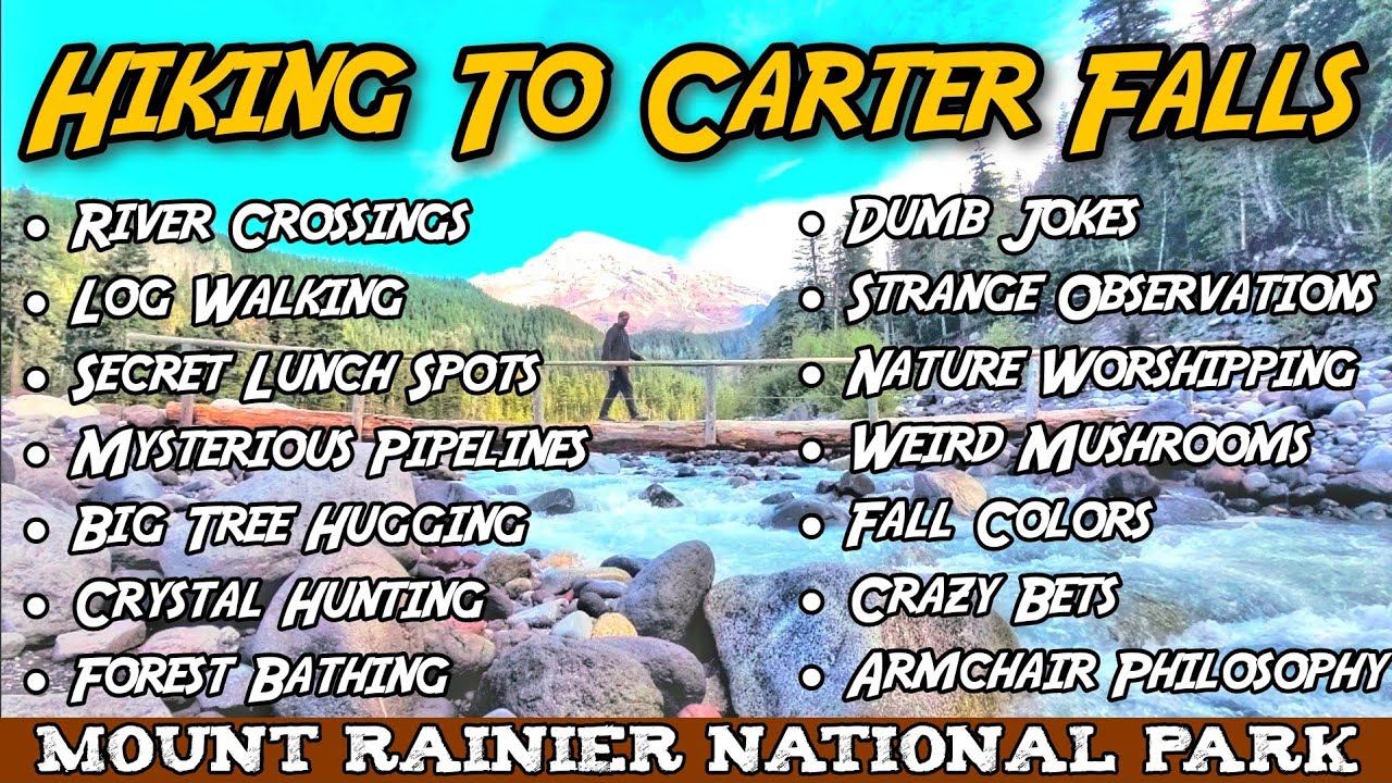 Carter Falls Hike - Mount Rainier National Park - YouTube