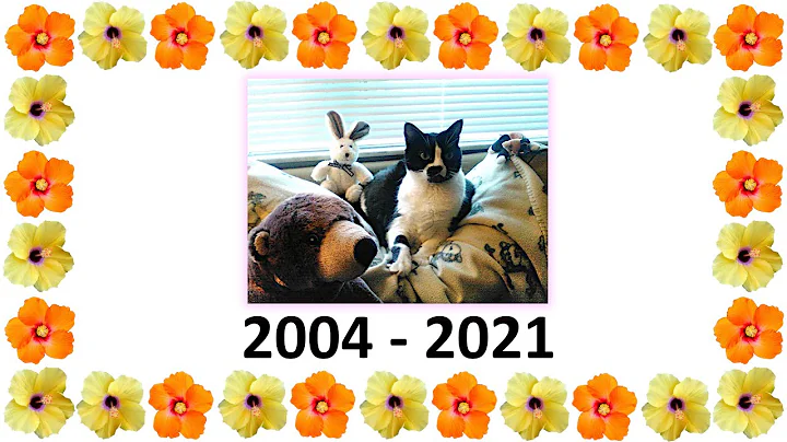 Kat Kat 2004-2021