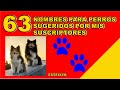 63 NOMBRES PARA PERROS SUGERIDOS POR MIS SUSCRIPTORES!