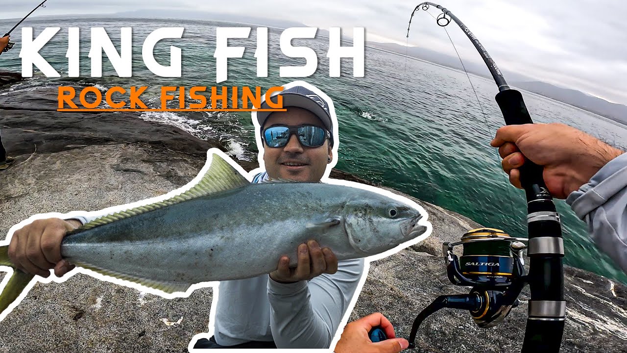 LOS PECES MAS FUERTES DE CHILE !!! King Fish - Palometas desde rocas