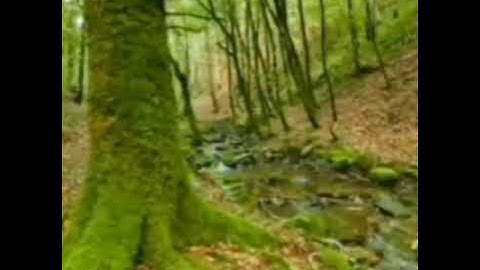 تلاوة أول سورة غافر للشيخ جمال القرش