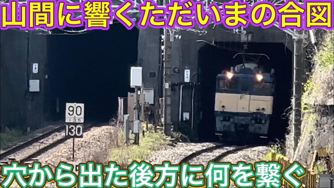 廃車になった名機が戻って来た？！2両のうちのどっちが都心部へ - YouTube