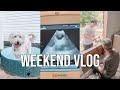 WEEKEND VLOG | Our Goldendoodle Is Pregnant, Garage Transformation, Lake Day & more