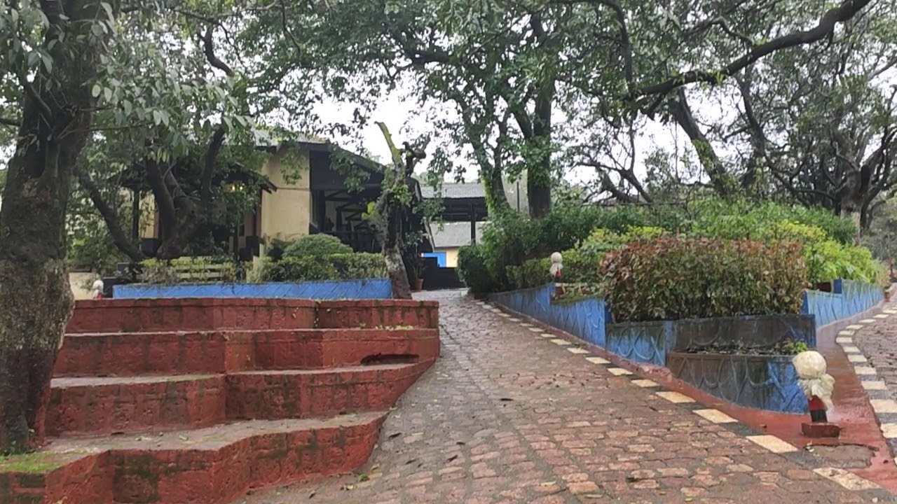 THE RUGBY GUEST HOUSE MATHERAN 08 09 2019 SUNDAY YouTube 108066875-1732281423298-gettyimages-2185293124-1484234-me-walmart-open