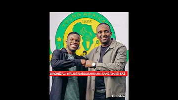 WACHEZAJI WALIOTAMBULISHWA NA YANGA HAD SAS KWA MSIM MPYA WA 2025 2026 Football 