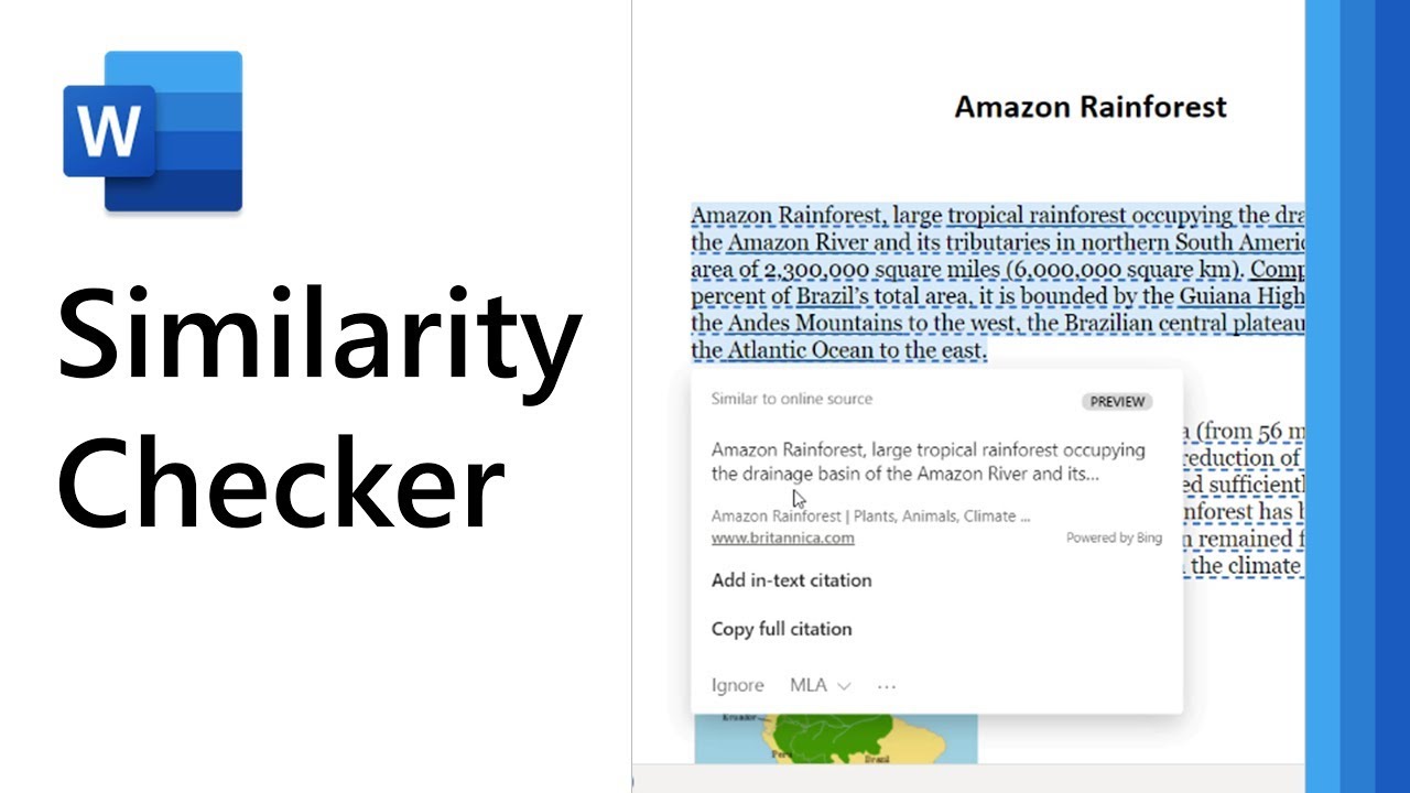 assignment similarity checker