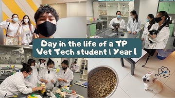 Day in the Life of a TP Vet Tech Student | Year 1