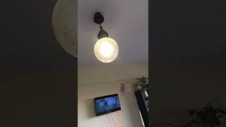 lights out and night light on. *Gasp*Night light out?!? lights on?!? lights on LIGHTS ON AHHHHHHH