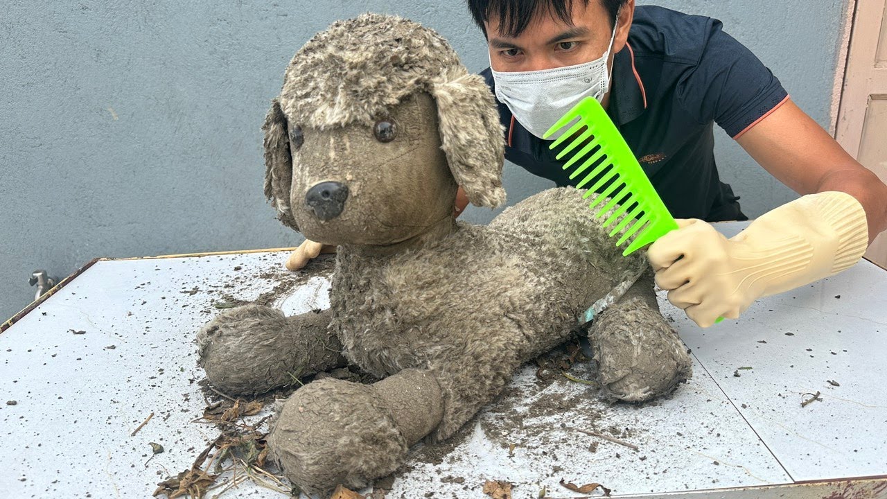 Dog Muddled Cleaning transforms Rescue Muddy Dog Perfect Washing ASMR
