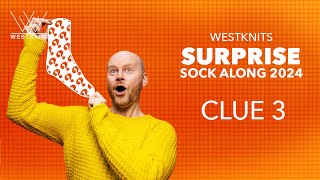CLUE 3 - Color Popportunity Socks