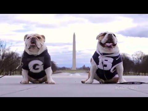 Georgetown Jack and