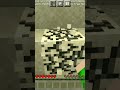 Minecraft mas eu não posso tocar no Verde