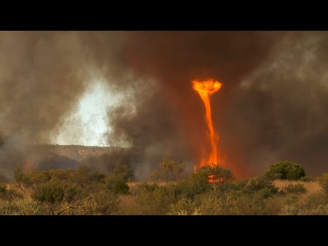 Real Fire Tornado How Fire Tornadoes Work | HowStuffWorks