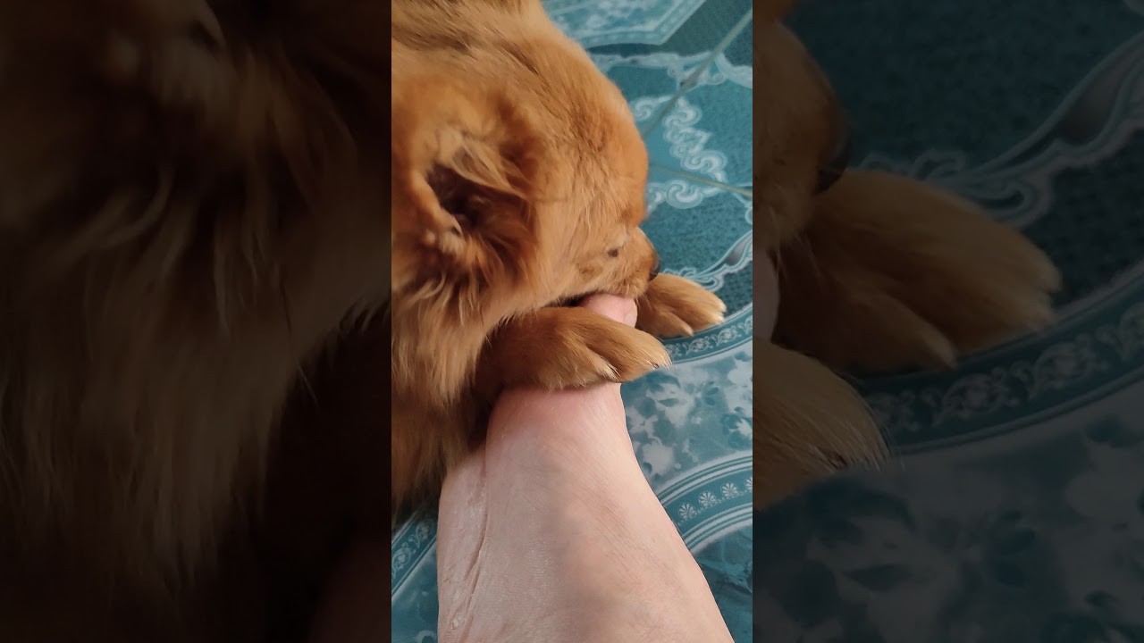 Pedicure my feet. YouTube