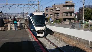 2月11日新川崎駅 8015M サフィール踊り子5号 E261系 トップナンバー編成 宮オオRS1編成 通過